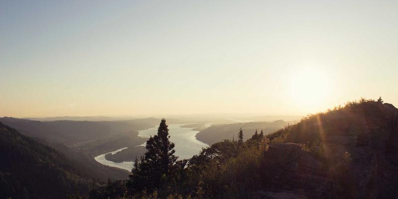 用户增长策略